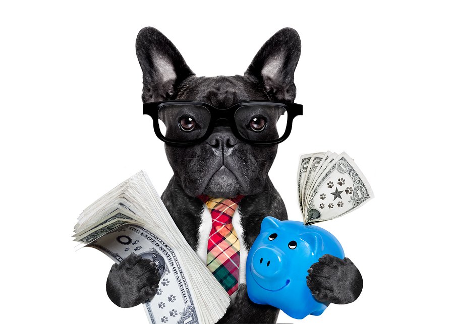 100 commission get paid